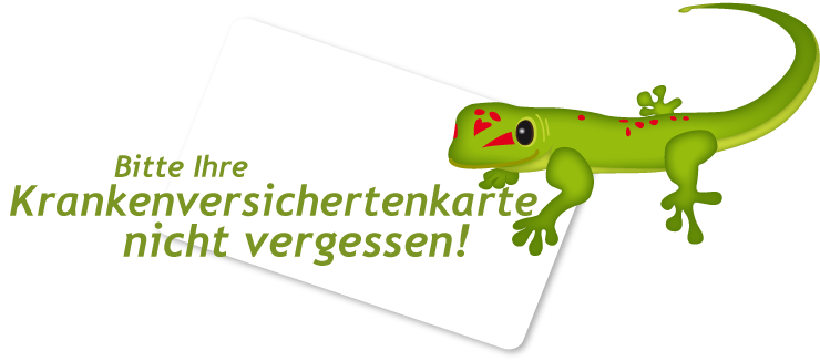 Gekko steht auf einer Krankenversicherten-Karte mit der Aufforderung nur mit einer Krankenversichertenkarte bei der Praxis für Kinder- und Jugenmedizin in Hanau, Maintal vorzusprechen.